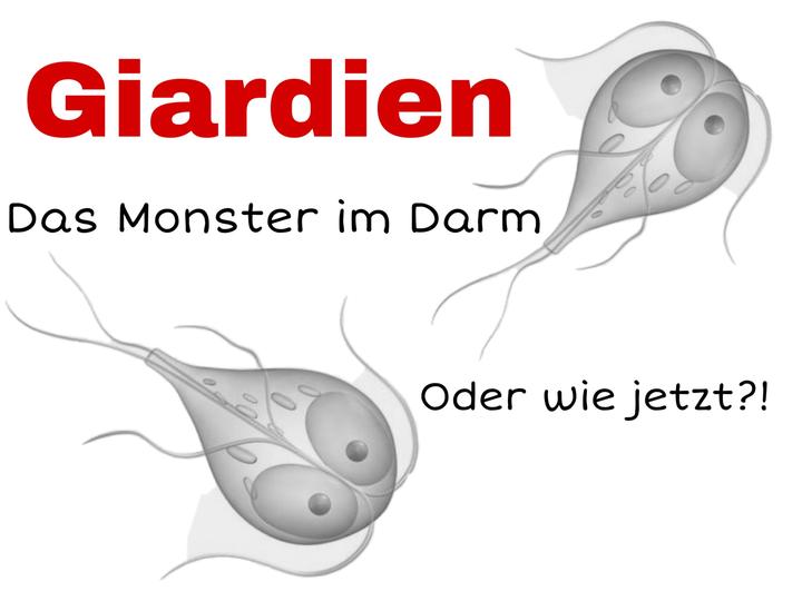 Giardien Hund alternative Behandlung