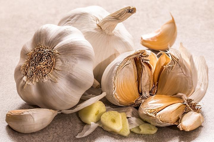 Knoblauch Hund