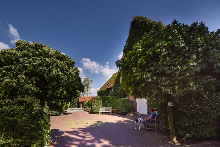 Tierarzt Lüdinghausen Tierarzt Lüdinghausen